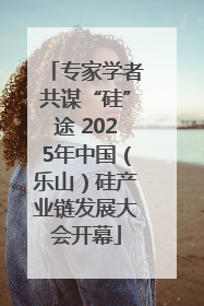 专家学者共谋“硅”途 2025年中国（乐山）硅产业链发展大会开幕