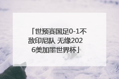 世预赛国足0-1不敌印尼队 无缘2026美加墨世界杯