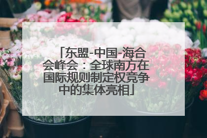 东盟-中国-海合会峰会：全球南方在国际规则制定权竞争中的集体亮相