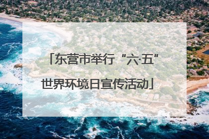 东营市举行“六·五”世界环境日宣传活动