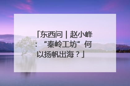 东西问｜赵小峰：“秦岭工坊”何以扬帆出海？
