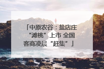 中原农谷：盐店庄“滩桃”上市 全国客商凌晨“赶集”