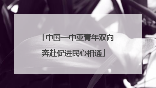 中国—中亚青年双向奔赴促进民心相通