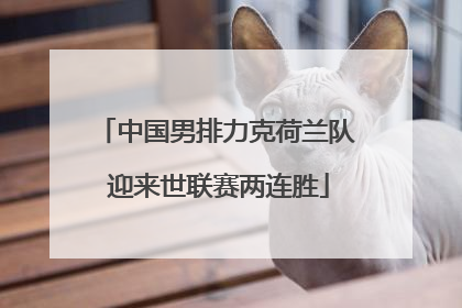 中国男排力克荷兰队 迎来世联赛两连胜