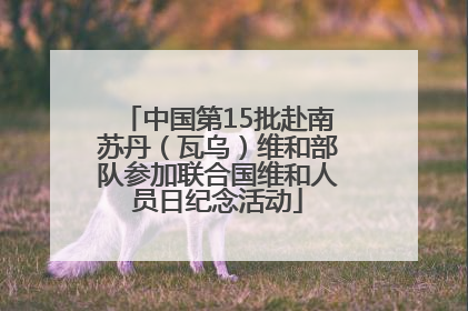 中国第15批赴南苏丹（瓦乌）维和部队参加联合国维和人员日纪念活动
