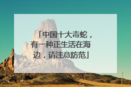 中国十大毒蛇，有一种正生活在海边，请注意防范