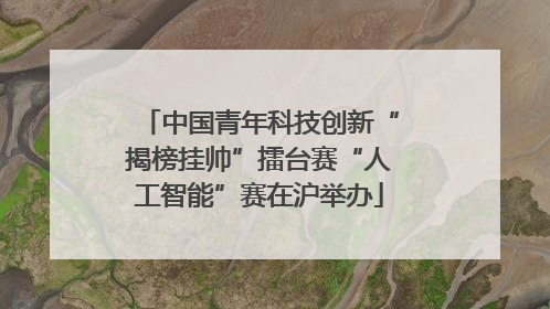 中国青年科技创新“揭榜挂帅”擂台赛“人工智能”赛在沪举办