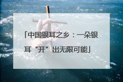 中国银耳之乡：一朵银耳“开”出无限可能