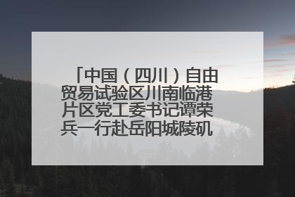 中国（四川）自由贸易试验区川南临港片区党工委书记谭荣兵一行赴岳阳城陵矶综保区考察