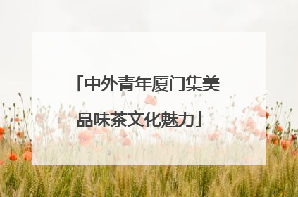 中外青年厦门集美品味茶文化魅力