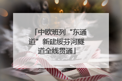 中欧班列“东通道”新建绥芬河隧道全线贯通