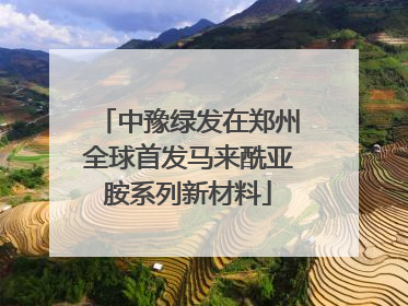 中豫绿发在郑州全球首发马来酰亚胺系列新材料