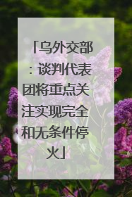 乌外交部：谈判代表团将重点关注实现完全和无条件停火