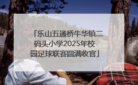 乐山五通桥牛华镇二码头小学2025年校园足球联赛圆满收官