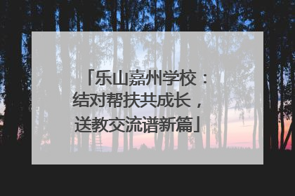 乐山嘉州学校：结对帮扶共成长，送教交流谱新篇