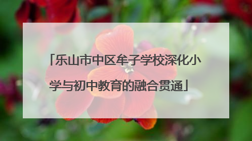 乐山市中区牟子学校深化小学与初中教育的融合贯通