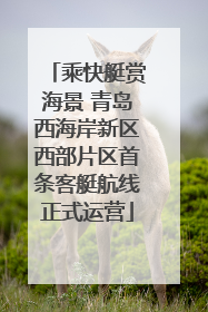 乘快艇赏海景 青岛西海岸新区西部片区首条客艇航线正式运营