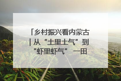 乡村振兴看内蒙古｜从“土里土气”到“虾里虾气” 一田双收模式火出圈