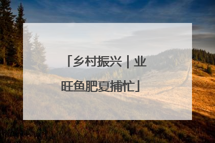 乡村振兴｜业旺鱼肥夏捕忙