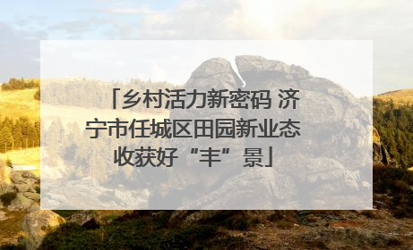 乡村活力新密码 济宁市任城区田园新业态收获好“丰”景
