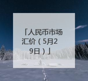 人民币市场汇价（5月29日）