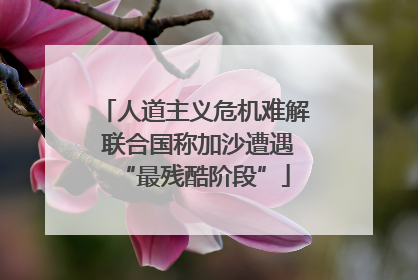 人道主义危机难解 联合国称加沙遭遇“最残酷阶段”