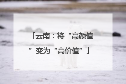 云南：将“高颜值”变为“高价值”