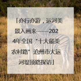亦行亦游，运河美景入画来——2024年全国“十大最美农村路”沧州市大运河堤顶路探访