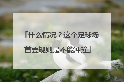 什么情况？这个足球场首要规则是不能冲撞