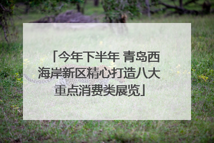今年下半年 青岛西海岸新区精心打造八大重点消费类展览