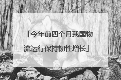 今年前四个月我国物流运行保持韧性增长