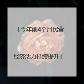 今年前4个月民营经济活力持续提升