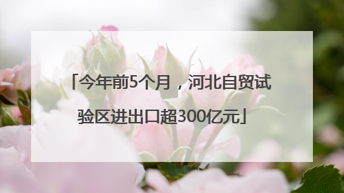 今年前5个月，河北自贸试验区进出口超300亿元