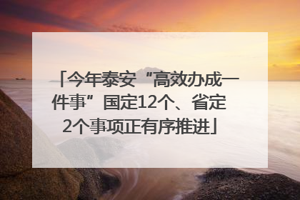 今年泰安“高效办成一件事”国定12个、省定2个事项正有序推进