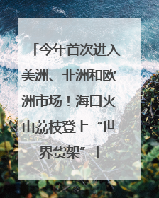 今年首次进入美洲、非洲和欧洲市场！海口火山荔枝登上“世界货架”