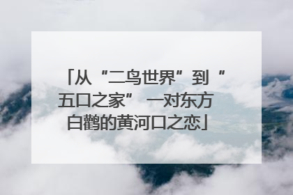 从“二鸟世界”到“五口之家” 一对东方白鹳的黄河口之恋