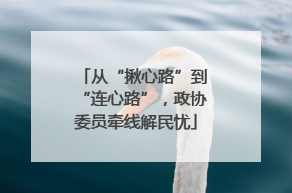 从“揪心路”到“连心路”，政协委员牵线解民忧