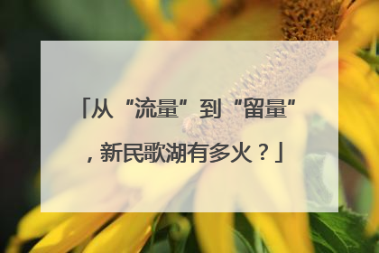 从“流量”到“留量”，新民歌湖有多火？