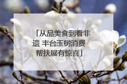 从品美食到看非遗 丰台玉树消费帮扶展有惊喜