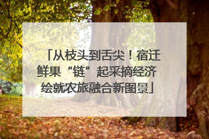 从枝头到舌尖！宿迁鲜果“链”起采摘经济绘就农旅融合新图景