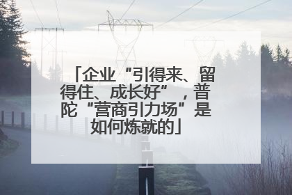 企业“引得来、留得住、成长好”，普陀“营商引力场”是如何炼就的