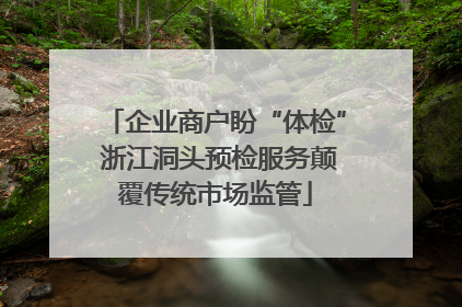 企业商户盼“体检” 浙江洞头预检服务颠覆传统市场监管
