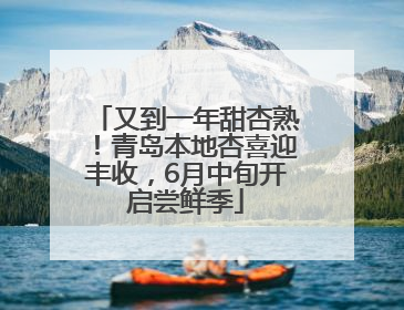 又到一年甜杏熟！青岛本地杏喜迎丰收，6月中旬开启尝鲜季