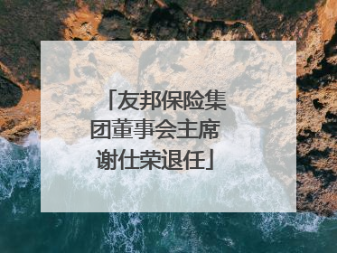 友邦保险集团董事会主席谢仕荣退任