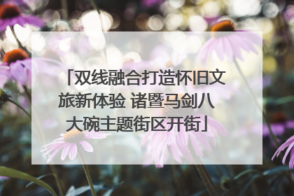 双线融合打造怀旧文旅新体验 诸暨马剑八大碗主题街区开街