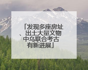 发现多座房址、出土大量文物 中乌联合考古有新进展