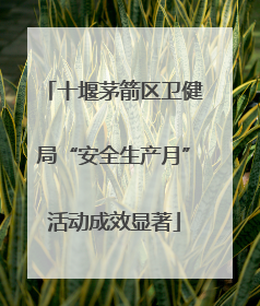 十堰茅箭区卫健局“安全生产月”活动成效显著