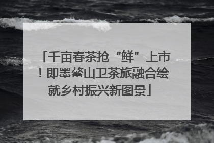 千亩春茶抢“鲜”上市！即墨鳌山卫茶旅融合绘就乡村振兴新图景