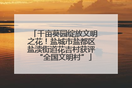 千亩葵园绽放文明之花！盐城市盐都区盐渎街道花吉村获评“全国文明村”