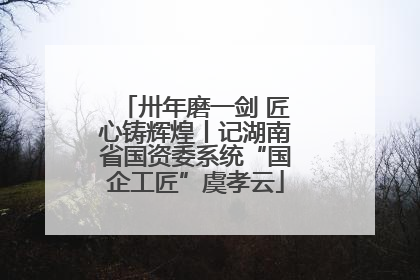 卅年磨一剑 匠心铸辉煌丨记湖南省国资委系统“国企工匠”虞孝云
